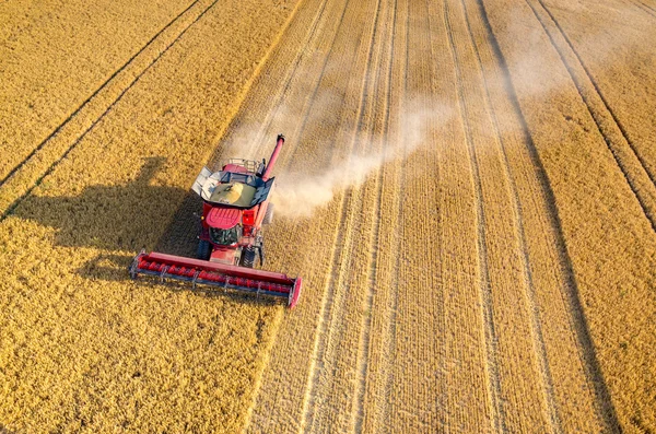 Skördetröskor och traktorer arbetar på fältet vete — Stockfoto