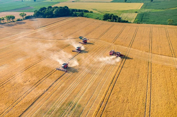 Combineert en trekkers werken op het tarweveld — Stockfoto