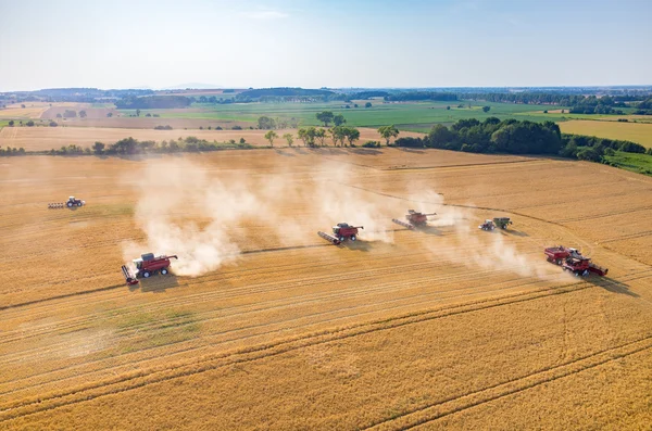 Skördetröskor och traktorer arbetar på fältet vete — Stockfoto