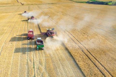 Birleştirir ve buğday sahada çalışan Traktörler