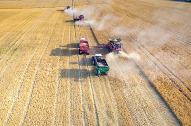 Birleştirir ve buğday sahada çalışan Traktörler