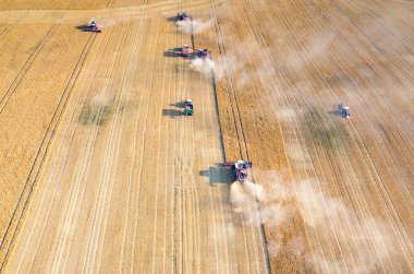 Birleştirir ve buğday sahada çalışan Traktörler