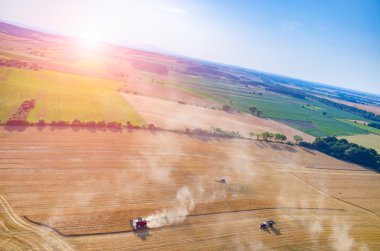 Günbatımı buğday sahada çalışan birleştiren yukarıda
