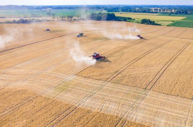 Birleştirir ve buğday sahada çalışan Traktörler