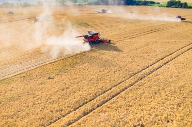 Birleştirir ve buğday sahada çalışan Traktörler
