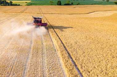 buğday alanında çalışan birleştirme