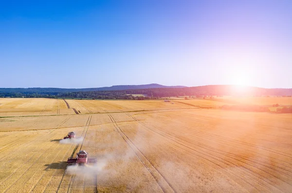 Puesta de sol sobre las cosechadoras trabajando en el campo de trigo — Foto de Stock
