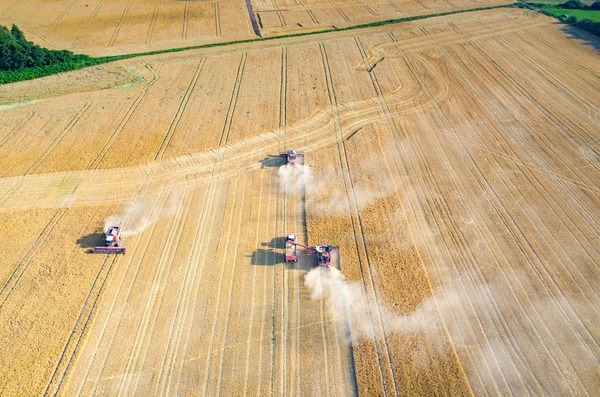 Combinaisons et tracteurs travaillant sur le champ de blé — Photo