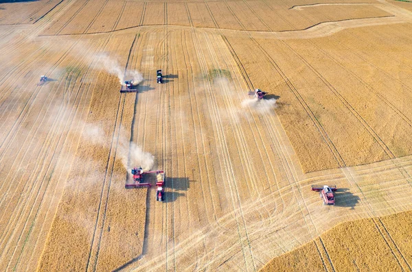 Combinaisons et tracteurs travaillant sur le champ de blé — Photo