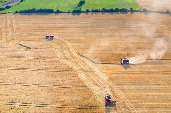 Birleştirir ve buğday sahada çalışan Traktörler