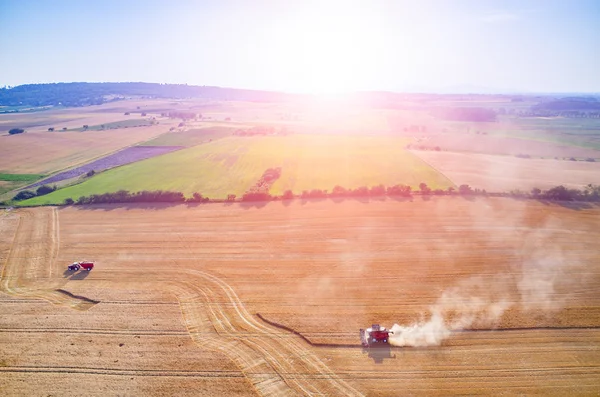 Puesta de sol sobre las cosechadoras trabajando en el campo de trigo —  Fotos de Stock