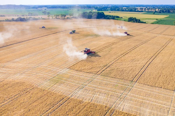 Birleştirir ve buğday sahada çalışan Traktörler
