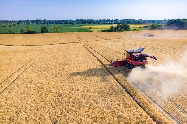 buğday alanında çalışan birleştirme