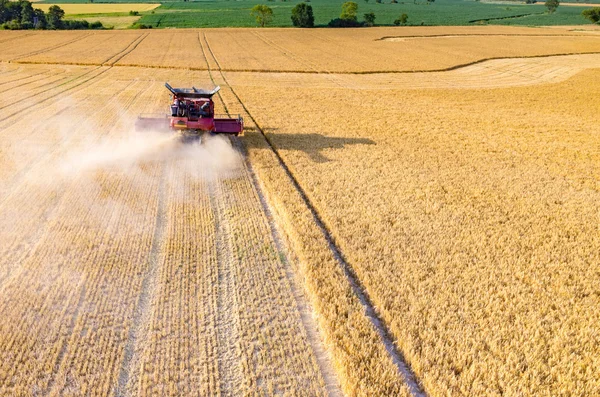 Combinar el trabajo en el campo de trigo — Foto de Stock