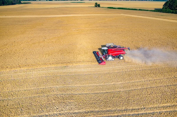 buğday alanında çalışan birleştirme