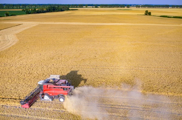 Combinar el trabajo en el campo de trigo —  Fotos de Stock