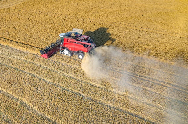 Combinar o trabalho no campo de trigo — Fotografia de Stock