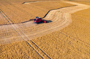 buğday alanında çalışan birleştirme