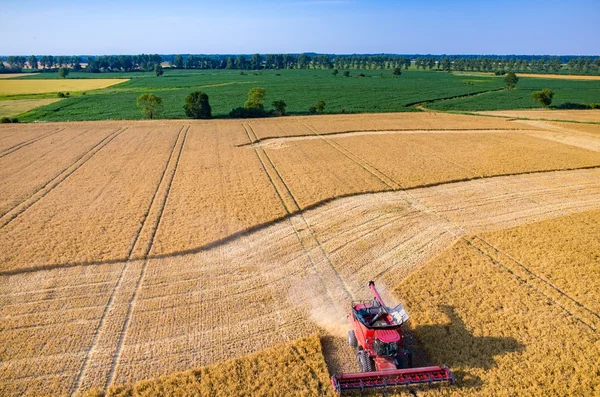 Combinar o trabalho no campo de trigo — Fotografia de Stock