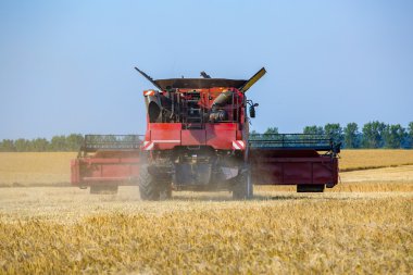 Arpa sahada çalışan birleştirme