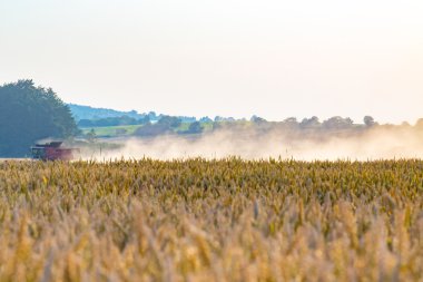 Arpa sahada çalışan birleştirme