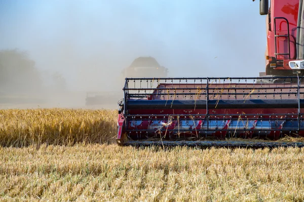 Combinar el trabajo en el campo de cebada — Foto de Stock