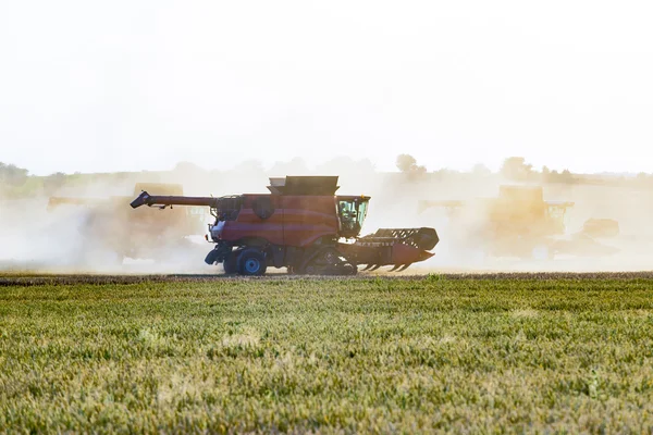 Combinar el trabajo en el campo de cebada — Foto de Stock