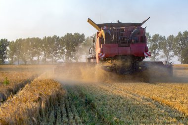 Arpa sahada çalışan birleştirme