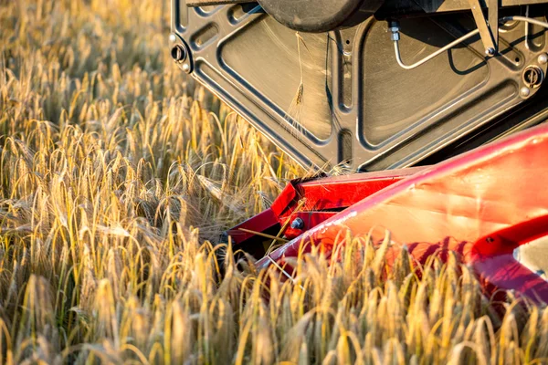 Close view on combine working on barley field — Stock Photo, Image