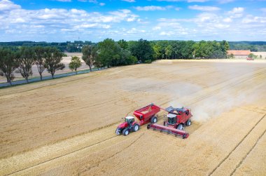 Birleştirir ve buğday sahada çalışan Traktörler