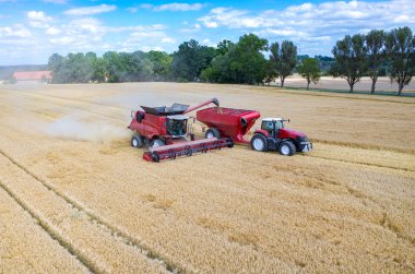 Birleştirir ve buğday sahada çalışan Traktörler