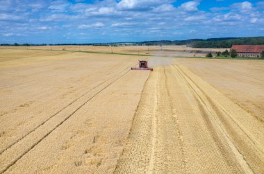 Birleştirir ve buğday sahada çalışan Traktörler