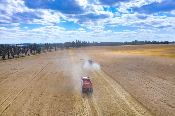 Combines and tractors working on the wheat field — Stock Photo, Image