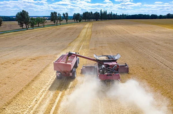 Combinaciones y tractores que trabajan en el campo de trigo —  Fotos de Stock