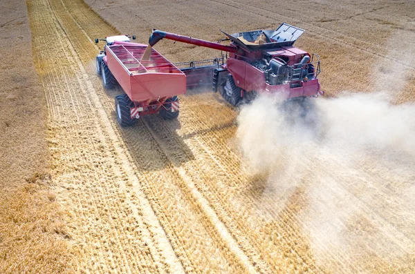 Combineert en trekkers werken op het tarweveld — Stockfoto