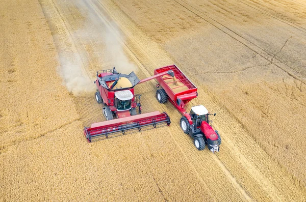 Kombajny a traktory, pracující na poli pšenice — Stock fotografie