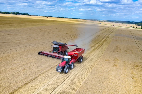 Combineert en trekkers werken op het tarweveld — Stockfoto