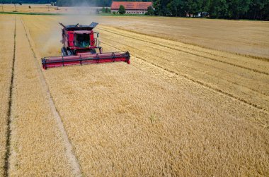Birleştirir ve buğday sahada çalışan Traktörler
