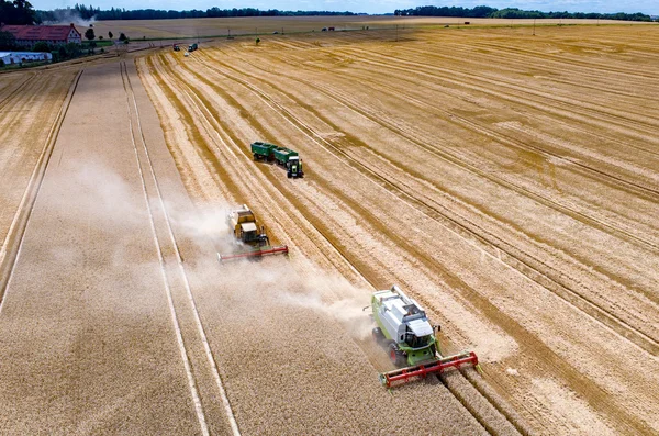Kombajny a traktory, pracující na poli pšenice — Stock fotografie