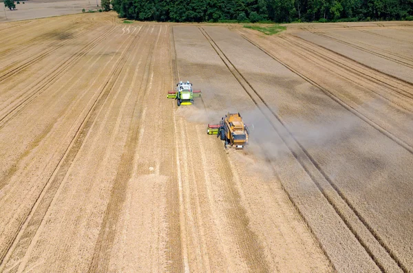 Mähdrescher und Traktoren arbeiten auf dem Weizenfeld — Stockfoto