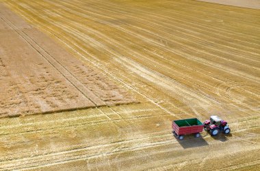 Birleştirir ve buğday sahada çalışan Traktörler