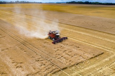 Birleştirir ve buğday sahada çalışan Traktörler