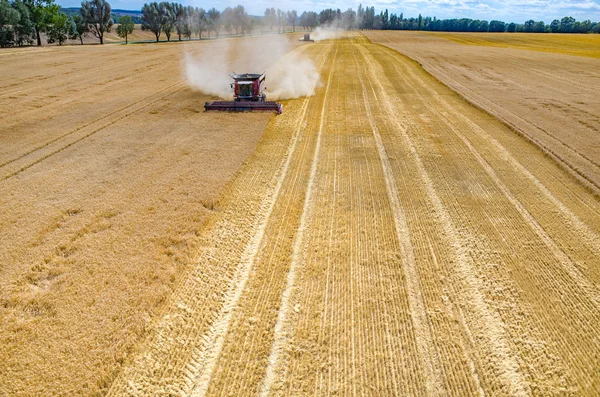 Комбайны и тракторы, работающие на пшеничном поле — стоковое фото