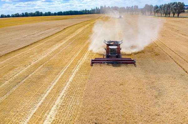 Combinazioni e trattori che lavorano sul campo di grano — Foto Stock