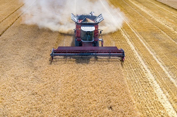 Combineert en trekkers werken op het tarweveld — Stockfoto