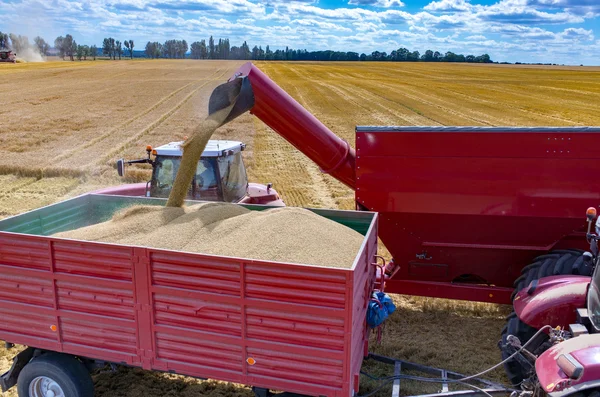 Combinaciones y tractores que trabajan en el campo de trigo — Foto de Stock