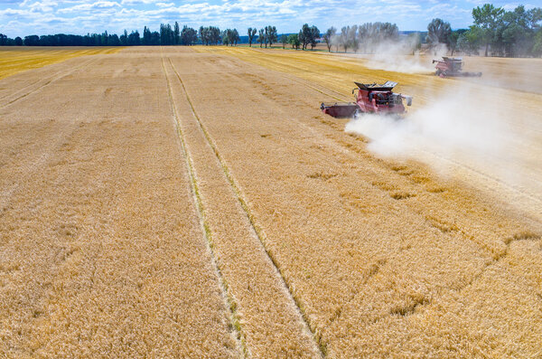 Комбайны и тракторы, работающие на пшеничном поле
