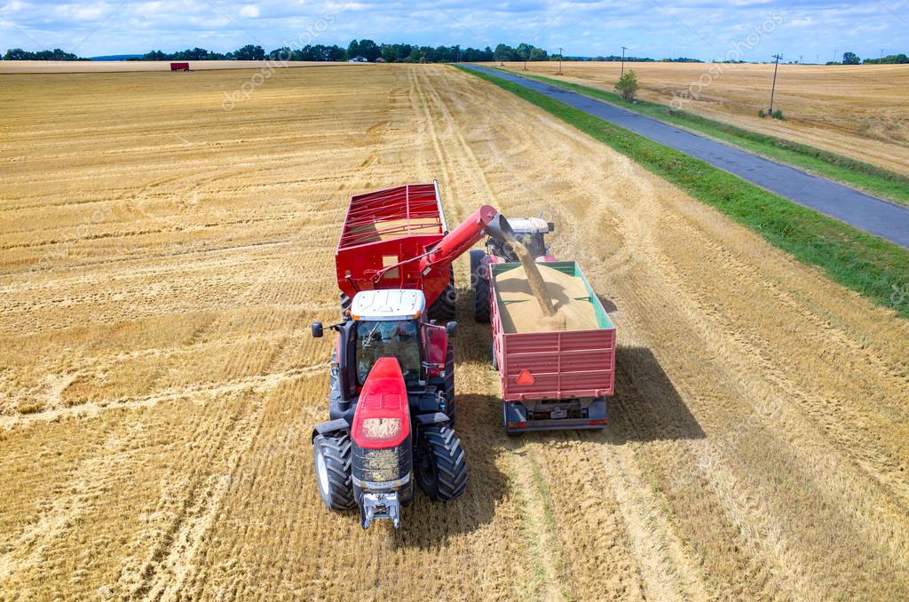 Combines and tractors working on the wheat field — Stock Photo © Stockr