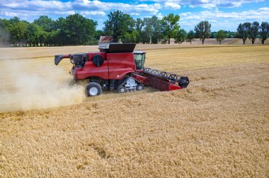 buğday alanında çalışan birleştirme