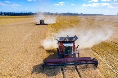 Birleştirir ve buğday sahada çalışan Traktörler